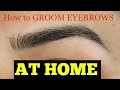 How to Groom Eyebrows AT HOME