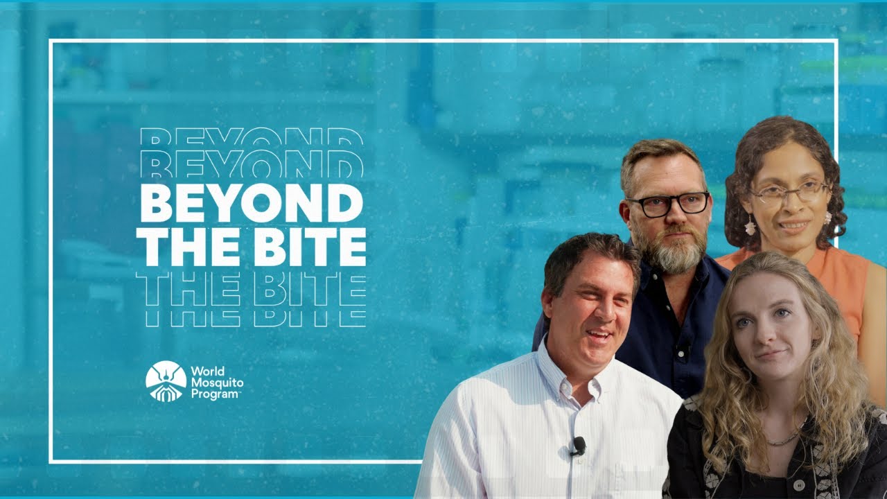 World Mosquito Day 2024: Beyond the Bite - YouTube