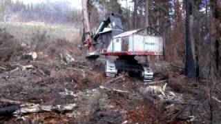 Prentice feller buncher 2