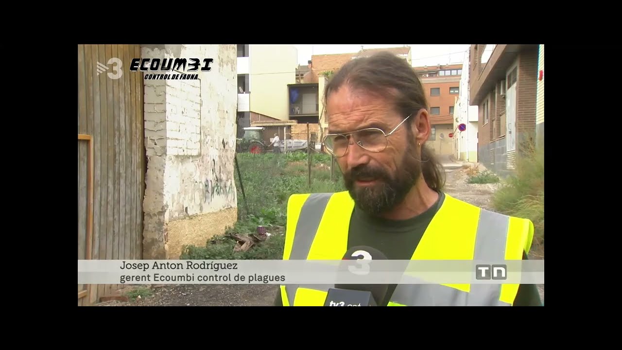 Josep Anton Rodríguez, gerente de Ecoumbi, entrevistado en TV3