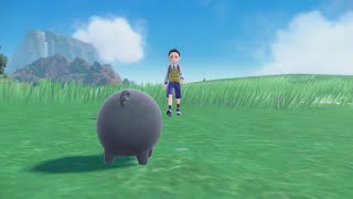 Gamefreak finally added what we all wanted in Pokemon...