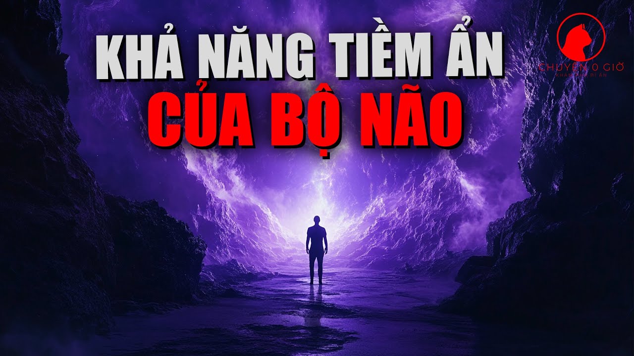 Bộ Não Con Người: 7 Khả Năng Tiềm Ẩn Đáng Ngạc Nhiên Khoa Học Mới Tiết Lộ