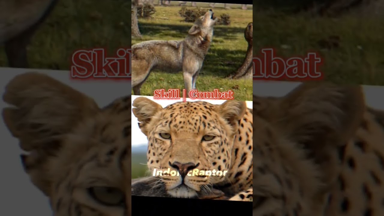 Dire Wolf Vs Leopard