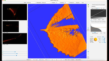 Handling SPIM data in FIJI with 3D viewer and Volume Viewer