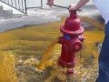 Hydrant Flush before gauge