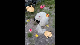 stellina patatina Ep 4🥰 stellina patatina Ep 4🥰