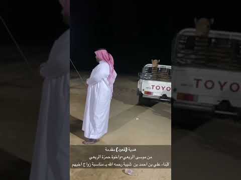 ربيعة المقاطره عسير الهول بني عمرو