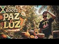 Soul Roots Paz E Luz #reggaemusic #brasilandia