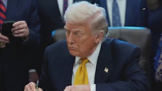Live: 'Walk Out On Fascism' Protest in Washington, D.C.
