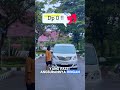 ALPHARD NICH