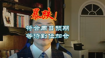 【暴力回调】分层加仓策略全讲透｜AI见顶了吗？英伟达目标175？｜SSO/UPRO这样用！| 美股实盘策略 11.14｜京城阿满