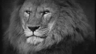 Sizzla Stronger Than Before 2010