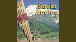 Video thumbnail of "Savia Andina - Mi Raza, Ay Me Ire, Cholita Paceña"