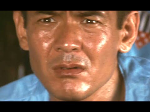 トラック野郎 望郷一番星 菅原文太 梅宮辰夫