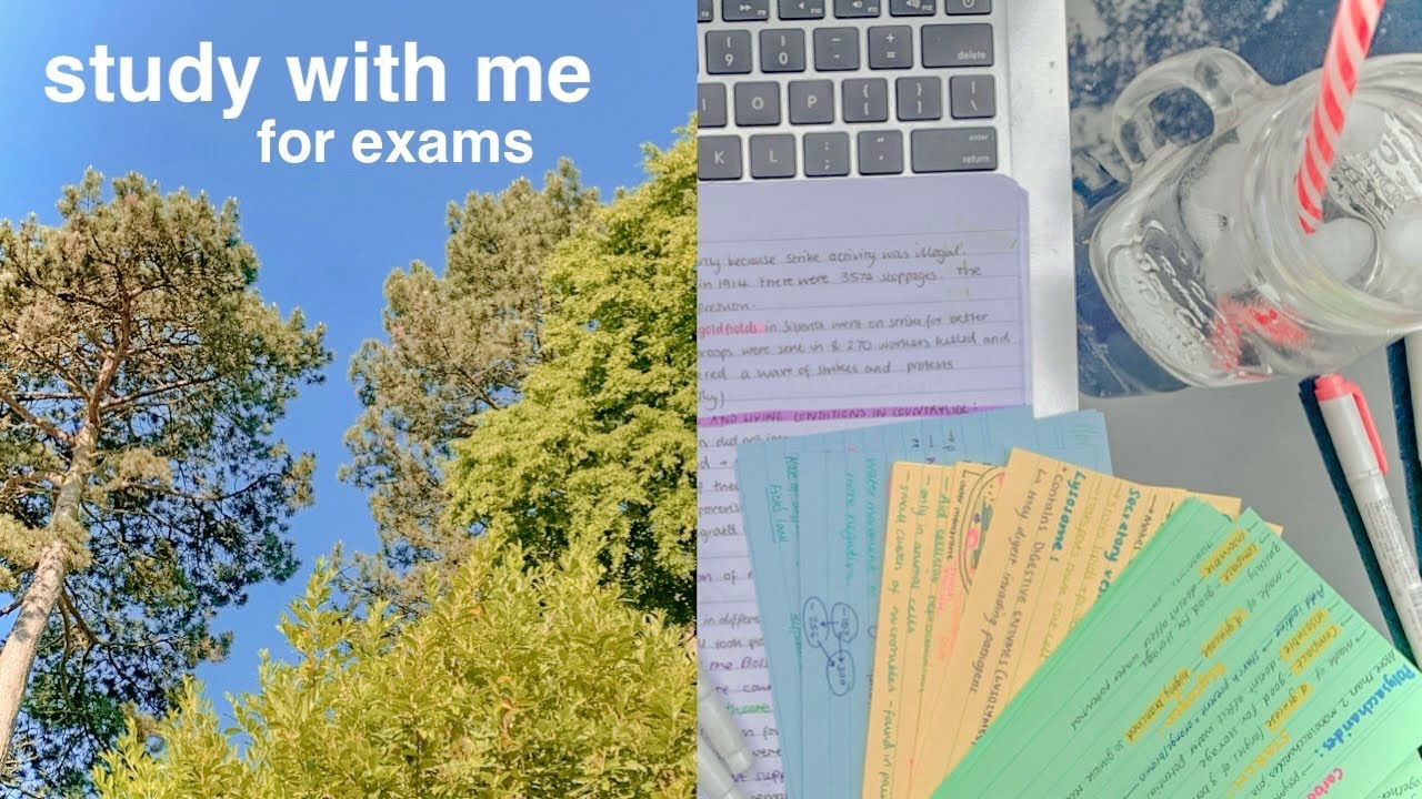 study with me for mock exams 📚