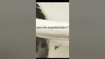 close up objects quiz#shorts  macro video