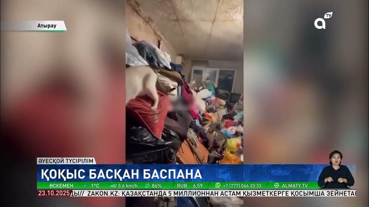 Трусиканы кискаға қалай салуға болады Қынаптық ерінге ісік