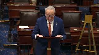 Enough Is Enough Chuck Schumer Calls For Withdrawal Of Ice From Minnesota