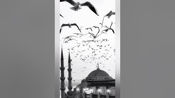 خواتيم سورة البقرة 📿 كنز من تحت العرش ... اللهم سبحانك