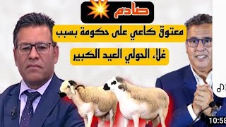 صادم كلام خطير و في الصميم?جمال معتوق كاعي على أخنوش و رباعتو بسبب غلاء حولي و إستوراد حولي إسبانيا?