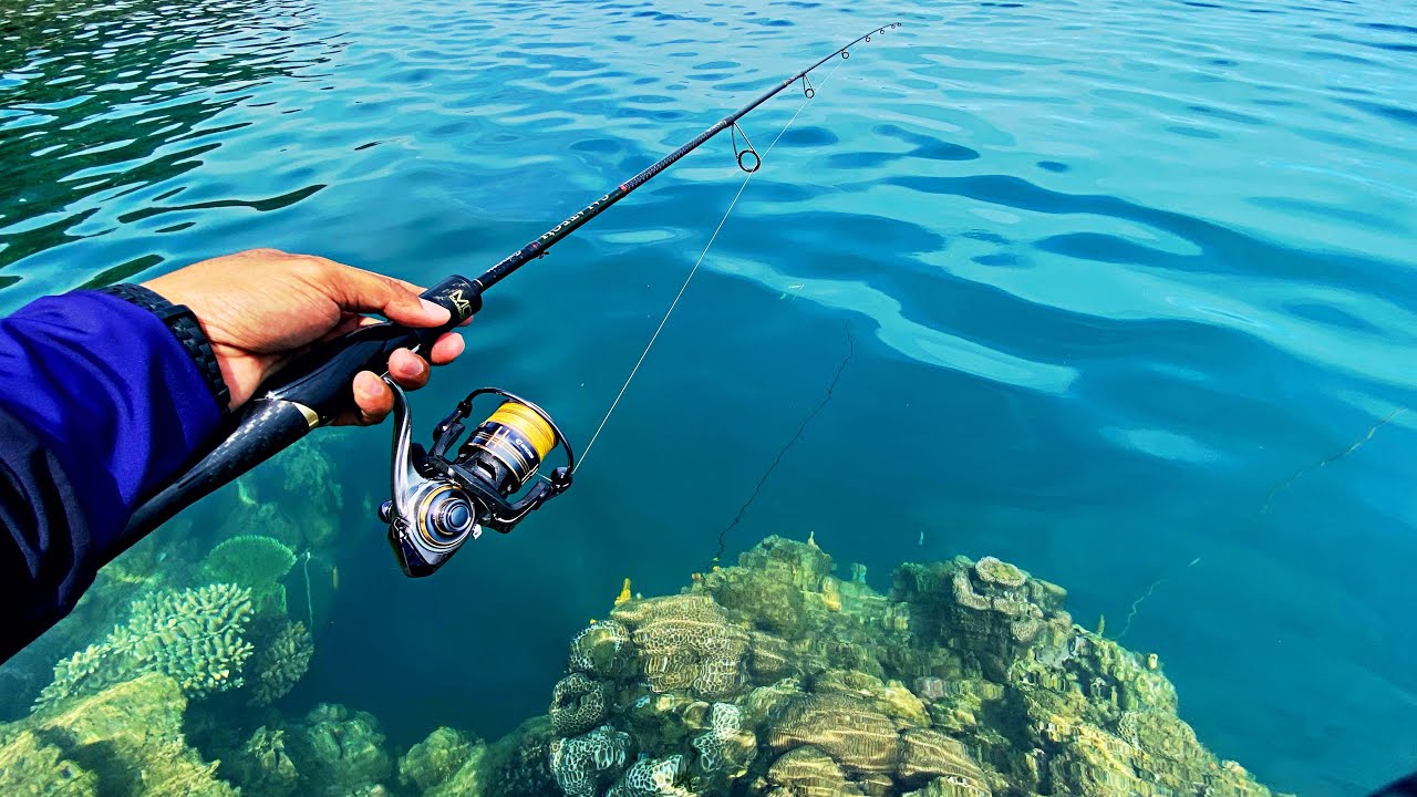 Mancing Landbase di Tebing Karang Dangkal | Spot Lama ternyata Masih Ada Sambaran