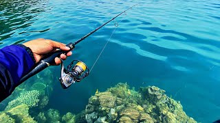 Landbase Fishing on Shallow Coral Cliffs | Old Spot Still Gets Bait