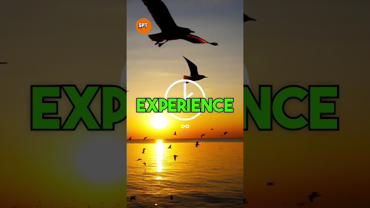 Animals can experience time differently from humans. 