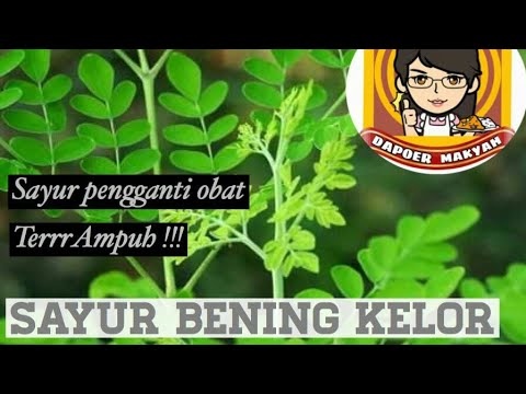 resep-sayur-bening-kelor-mudah-dan-murah