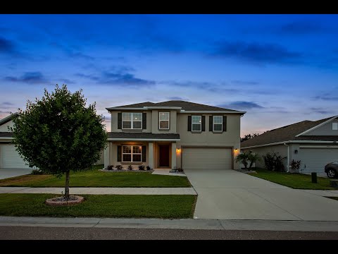10063 Geese Trail Cir, Sun City Center, FL home video tour