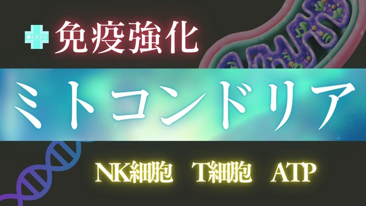 🧬ミトコンドリア×免疫強化✨ATP増大でNK細胞・T細胞をサポート🌈