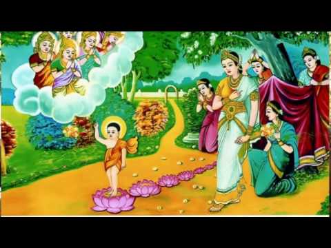 Video Đại Lễ Phật Đản 2560 (2016) tại Thiền Viện Tuệ Quang... - youtube