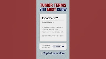 Tumor Terms You Must Know Before AACR 2025: E-cadherin (Epithelial Cadherin)