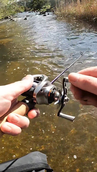 Why I love BFS fishing #bfsfishing #troutfishing #ultralightfishing