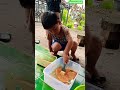 cumii bakar 😁 #masyaallahtabarakallah #baby #cooking #happy #fight #chef #cute #fypシ #cutebaby #boy