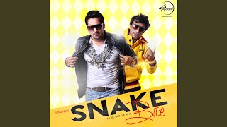 Shakira - Singhvir