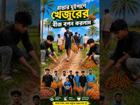 ২০ লক্ষ না হলেও, আলহামদুলিল্লাহ—যতটুকু পেরেছি, ততটুকুই খেজুরের বীজ বপন করেছি🌴🌱❤️| #its_ekramul