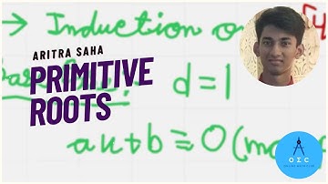 Primitive Roots by Aritra Saha