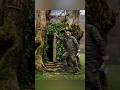 secret Stone Sanctuary Between Ancient Trees 🌲 | Mountain Bushcraft Survival Shelter#survival