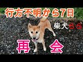 行方不明から7日 再会