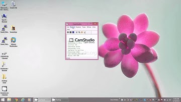 How to record your voice and capture your desktop screen- CamStudio
