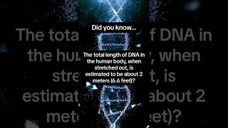 Virtual Science Shorts