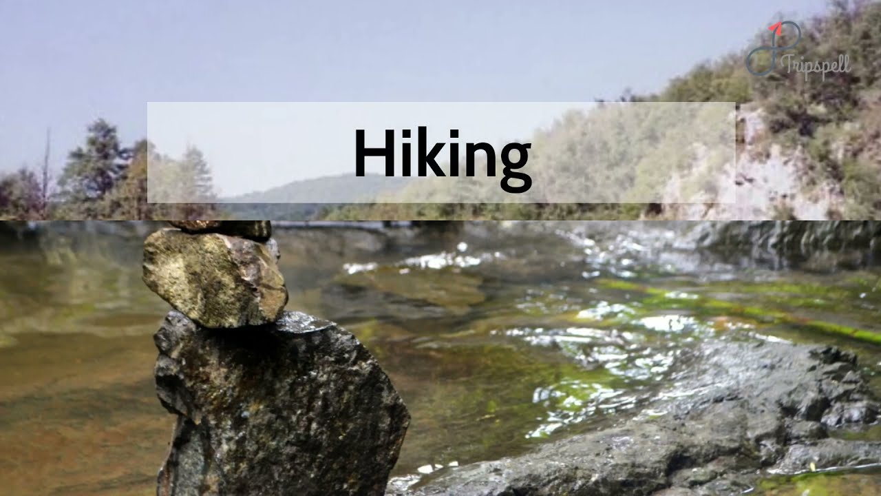 Hiking Vienna, Vienna Guide - What to do, When to visit, How to reach, Cost | Tripspell