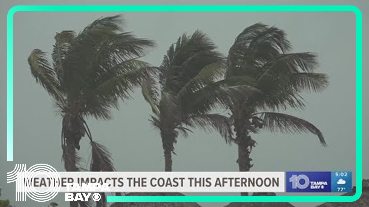 Strong storms bring wind, flooding and tornado threats through Tampa ...
