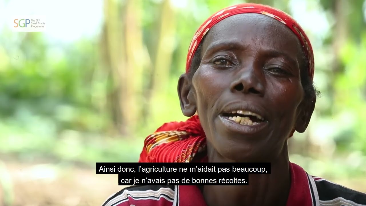 Réalisations du PROGRAMME DES MICRO FINANCEMENTS du FEM en partenariat avec le PNUD.