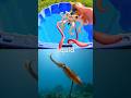 Kids Learn | Sea Animal Names with Toys: Squid Blue Spotted Stingray Jellyfish Stingray Cuttlefish