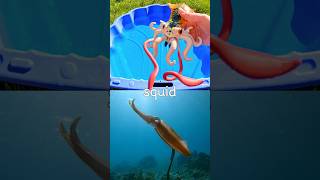 Kids Learn | Sea Animal Names with Toys: Squid Blue Spotted Stingray Jellyfish Stingray Cuttlefish