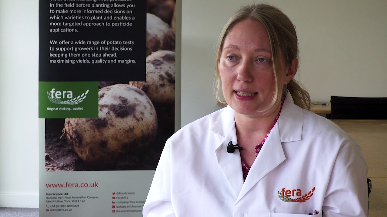 Tuber Disease Identification and Assessment with Fera Scientists
