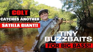 We used tiny buzzbaits to catch HUGE REDBREAST, BLUEGILL, AND BASS kayak fishing the Satilla River!!