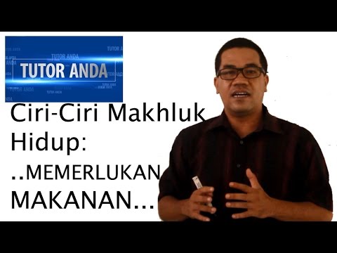 Video: Mengapa Seseorang Memerlukan Makanan