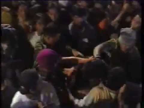 palapa (new pallapa) brodin sumi